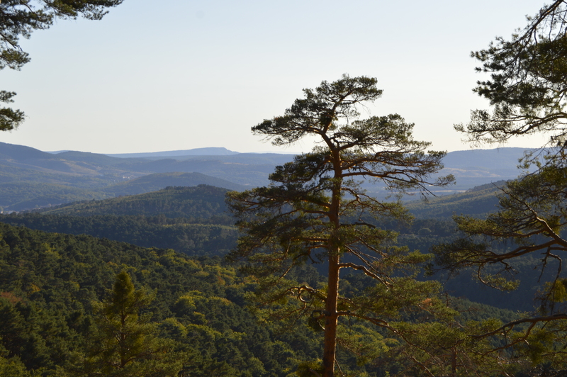 Vista panorámica desde La Calerita