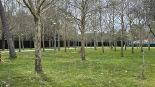 Parcelas del camping de Quintanar