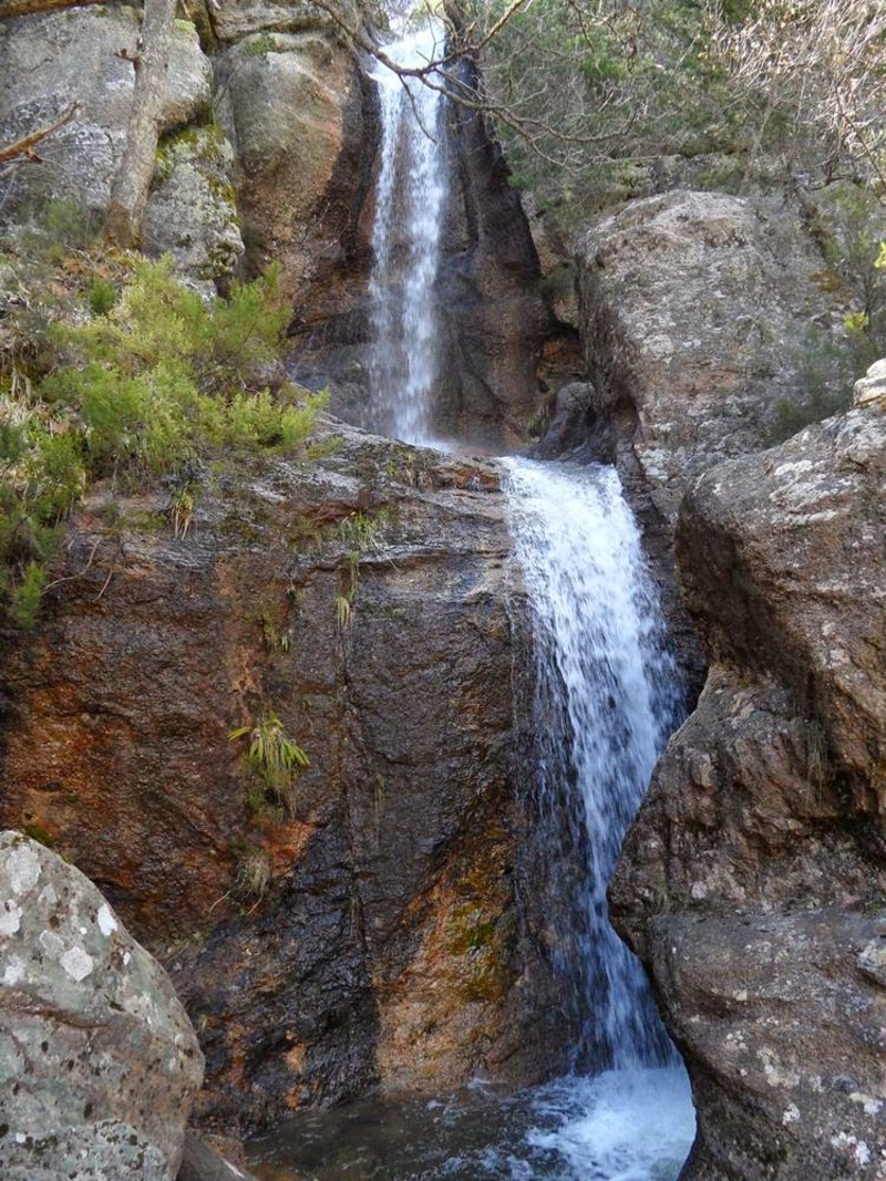 El Chorlón