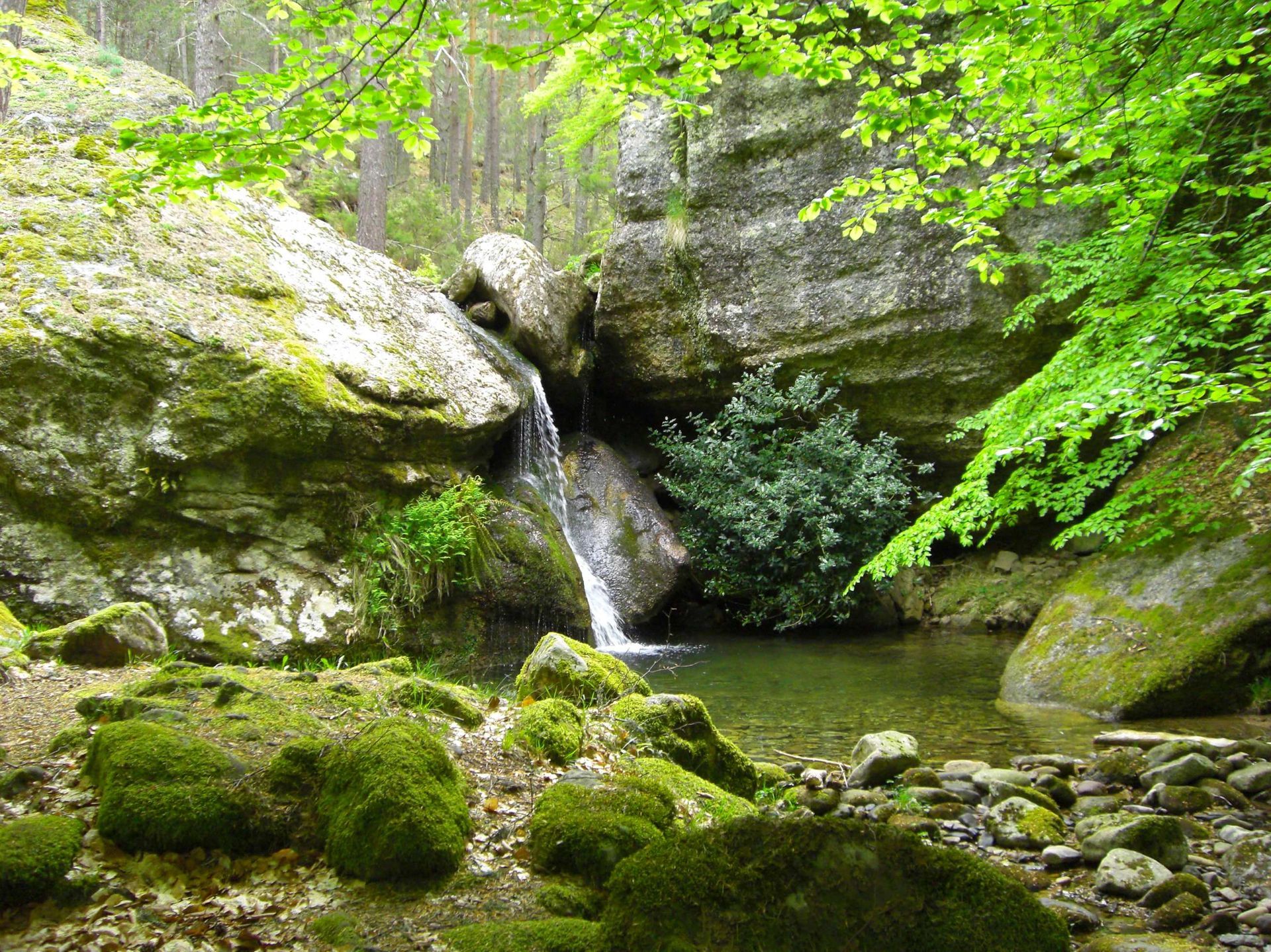 El Empedrado, La Boina de Cascón, Peña "El Vaso", Peñas Corvillas, Peñas Loberas y Covernantes